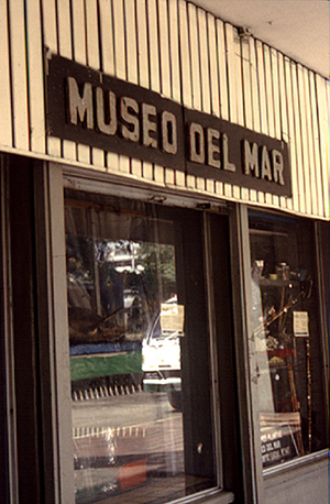 Ana Maria Millan - el pez que evoluciona , 2000