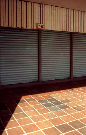 Ana Maria Millan - el pez que evoluciona , 2000